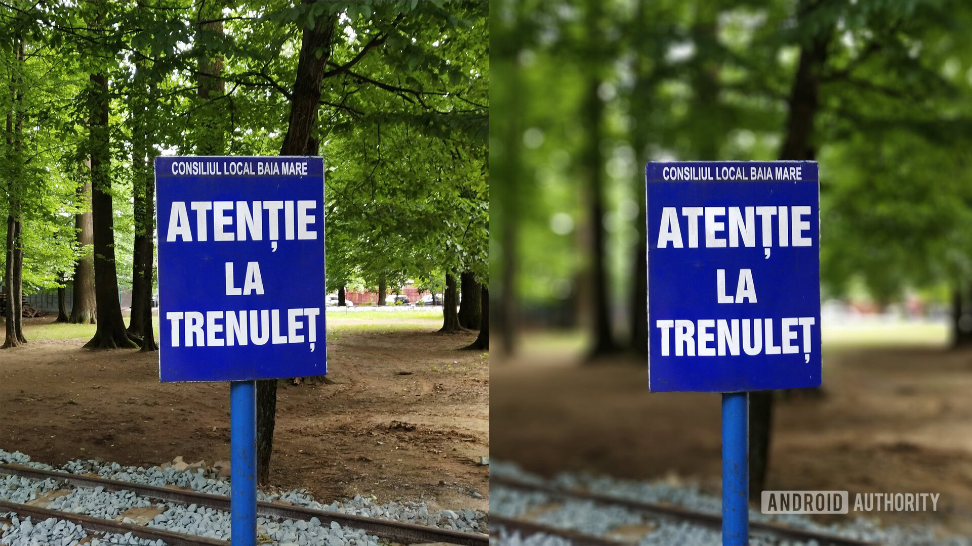What Is Portrait Mode A side-by-side comparison of two photos, one using a smartphone's Portrait Mode, and another using a basic mode.
